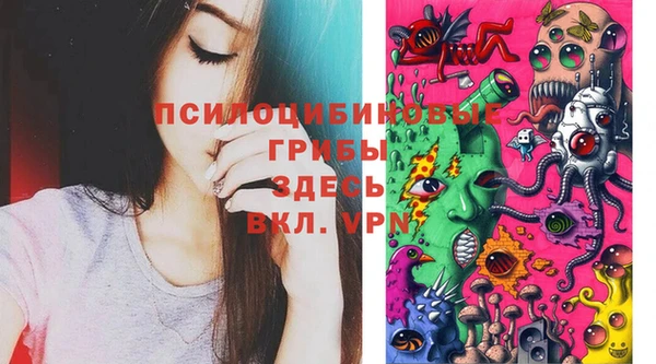 эйфоретик Горнозаводск