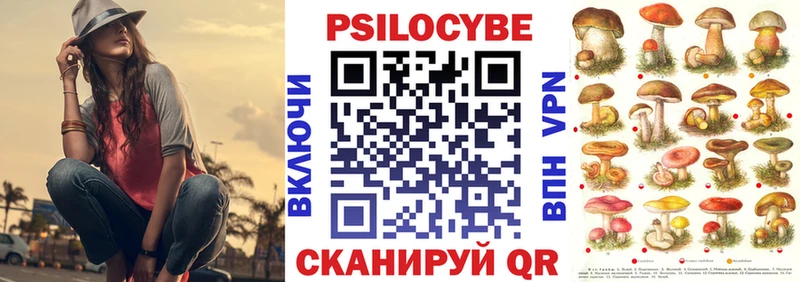 МЕГА ТОР  Кострома  Галлюциногенные грибы прущие грибы 